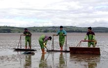 Read more about the article Death in the Bay