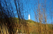 Read more about the article Ford Park in the Picture