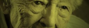Read more about the article Signal Documentary receives an Honourable Mention at Film Festival
