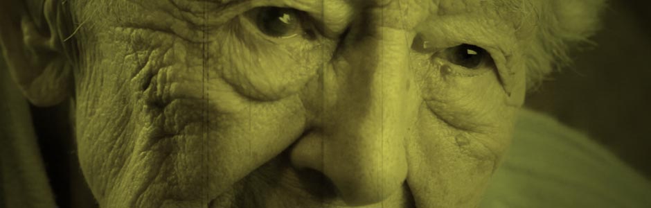 Read more about the article Signal Documentary receives an Honourable Mention at Film Festival