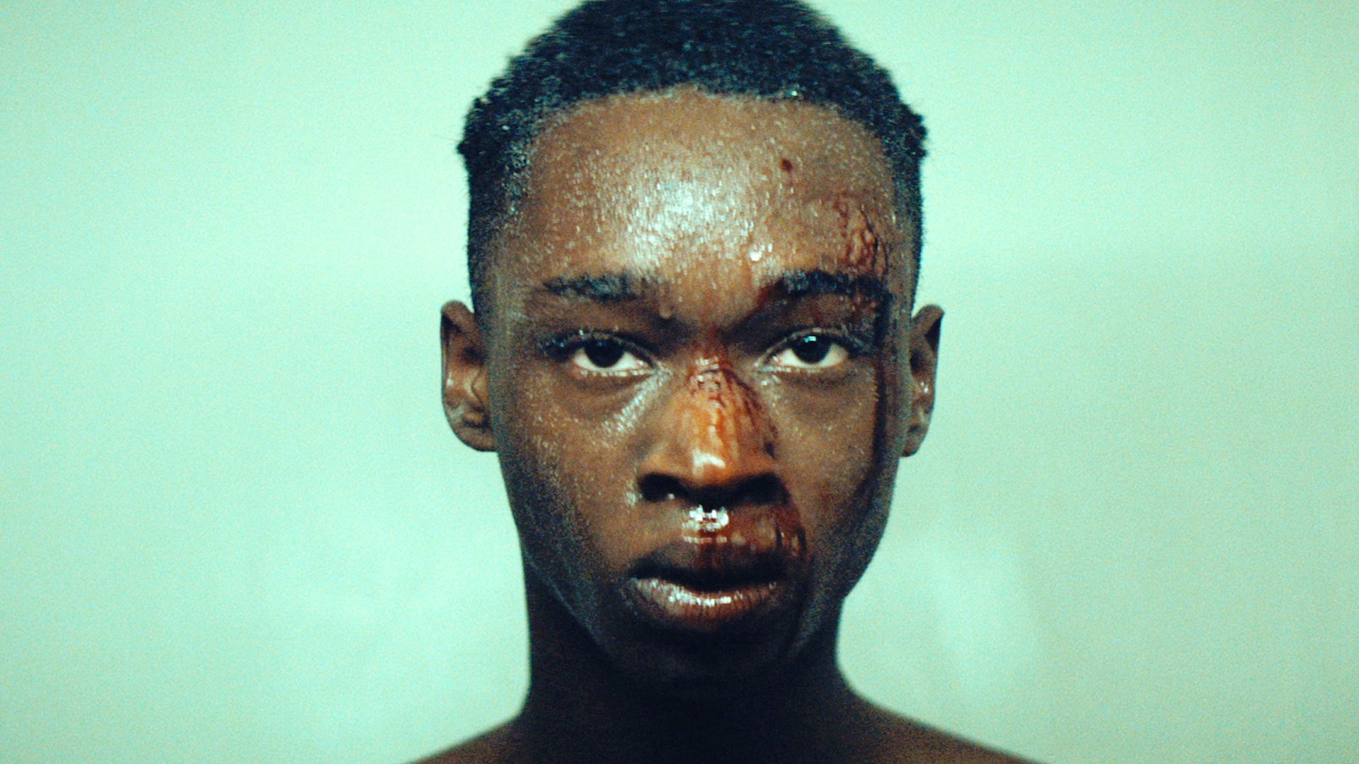 Read more about the article MOONLIGHT at Signal Cinema