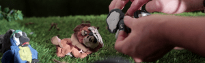 Read more about the article Zoom.12 Film Festival: WINNER! Best International Children’s Film