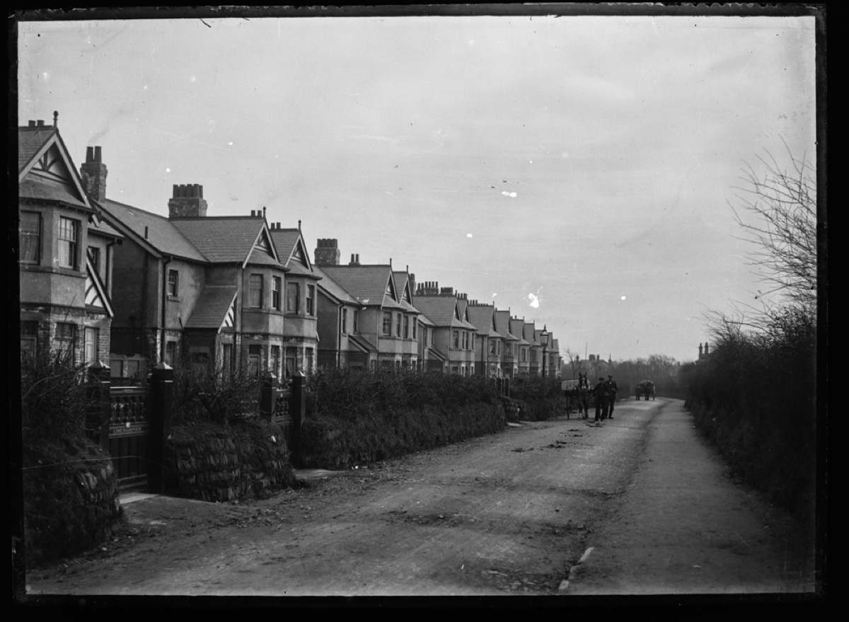 Read more about the article Hawcoat Lane