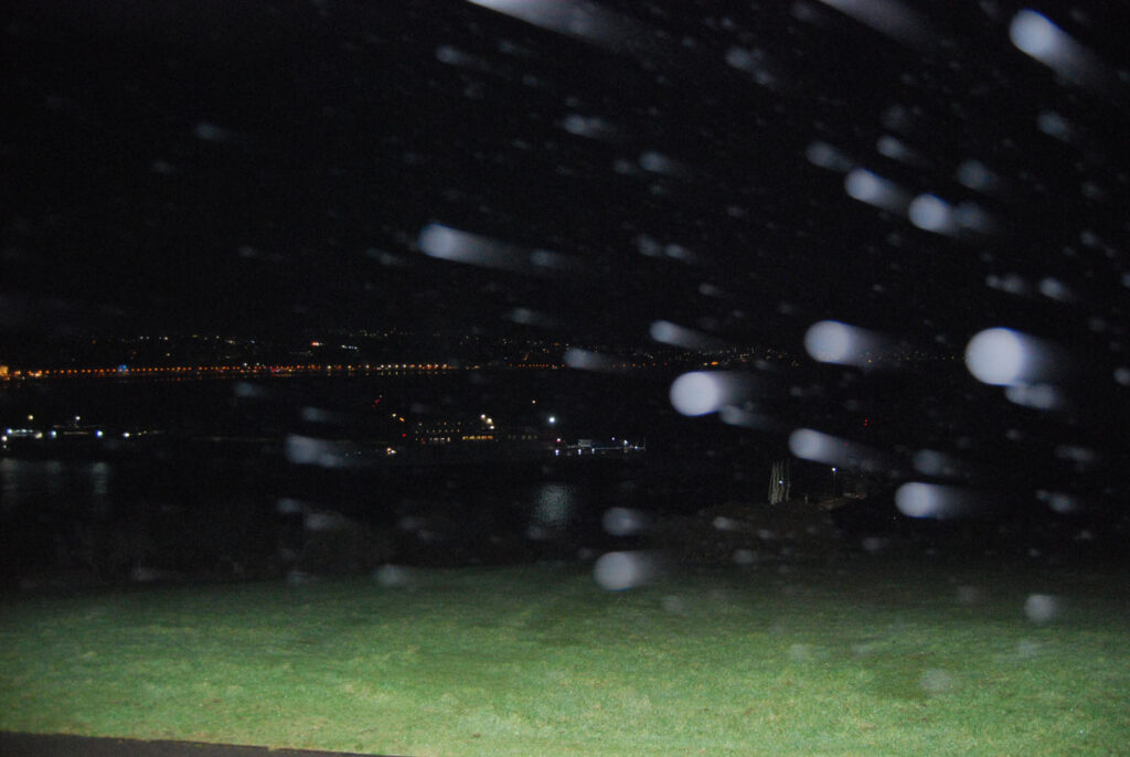 A colour photograph taken in the dark with a headlight illuminating a patch of grass and tear drops on the screen. In the background you can see the lights of boats in the night harbour.