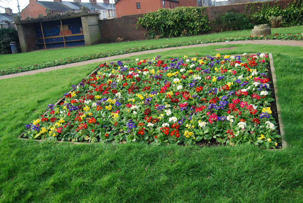 A colour photograph of colourful blue, yellow, red and white flowers in a square flower bed in a public garden. In the background is a shelter with a bench.