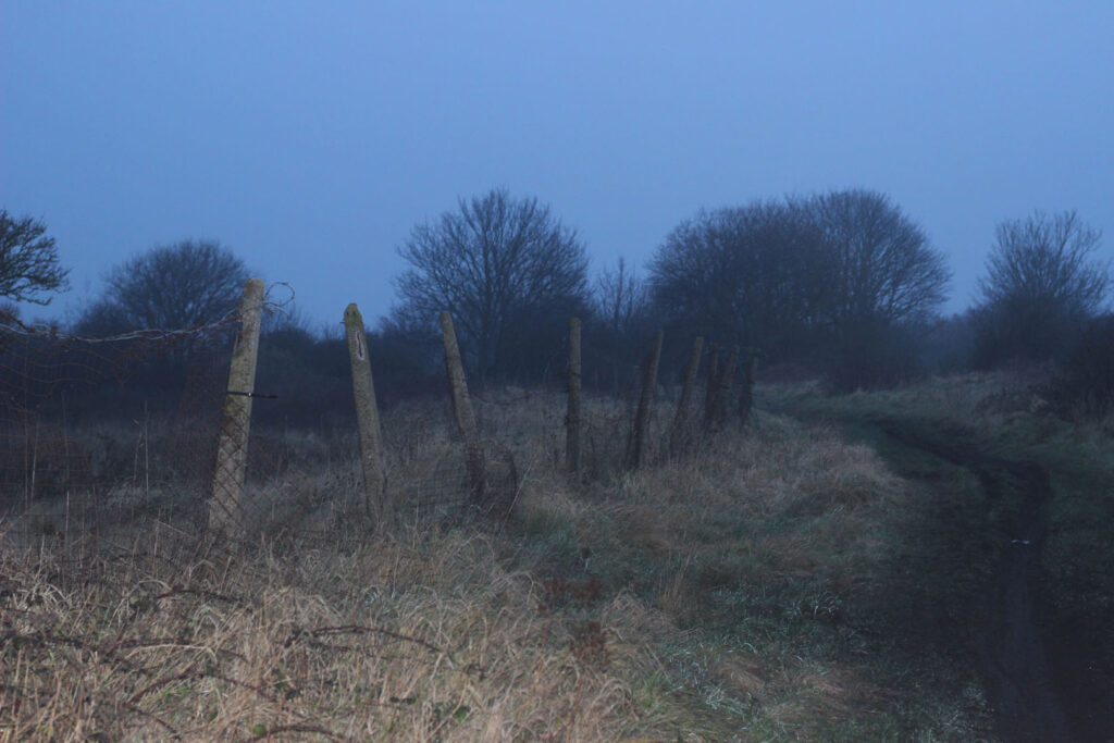 A colour landscape photograph of a country path photographed at dusk with a fence alongside the side of the path.