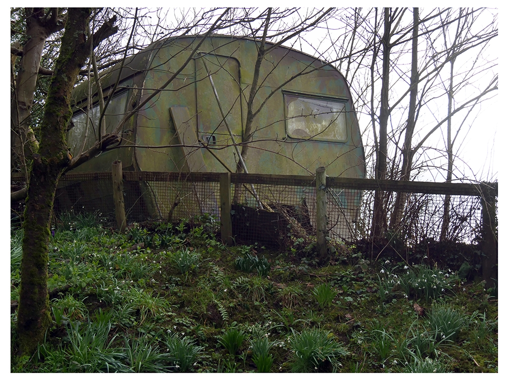 A colour photograph of a caravan in amongst some young trees bare of leaves. The caravan has green mold and dirt on it.