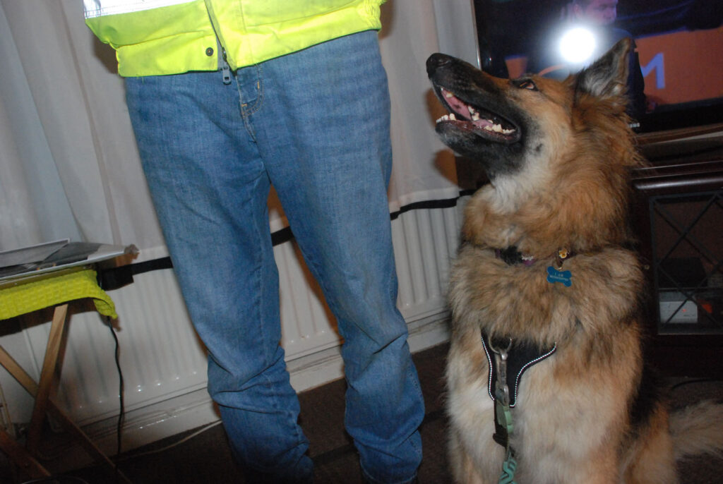 A colour photograph of a man in blue jeans with a long haired dog next to him. The dog is looking up to the man who's top half is not in shot.
