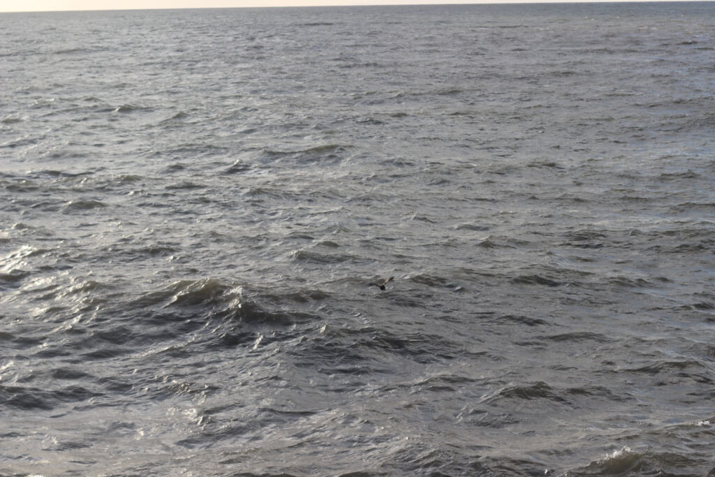 A colour photograph of the sea