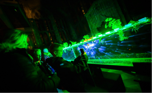 Tom Mortlock Jackson, BIOLLUMINATE