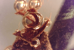 Encounter with a Bubble 2 - Cat Scott